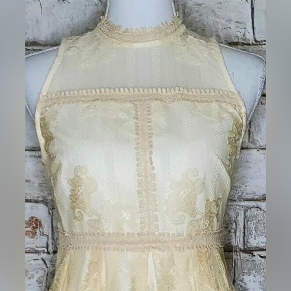 Anthropologie knee length Lace dress